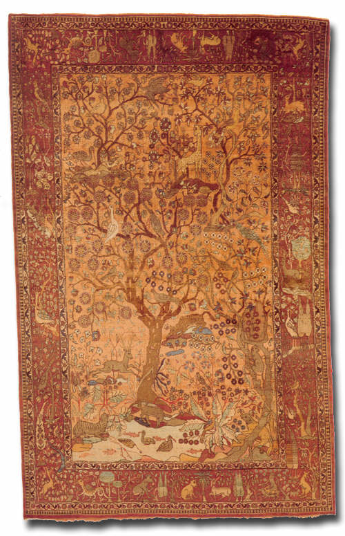 rug number tbc 14