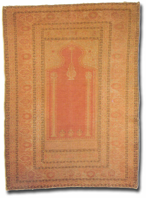 rug number tbc 16