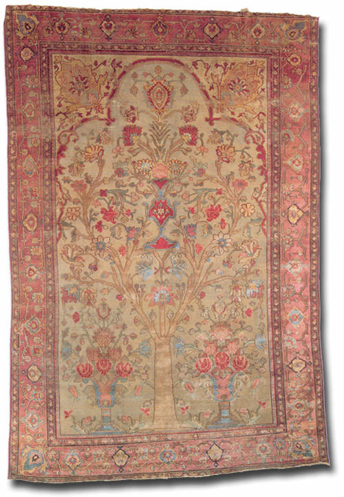 rug number tbc3