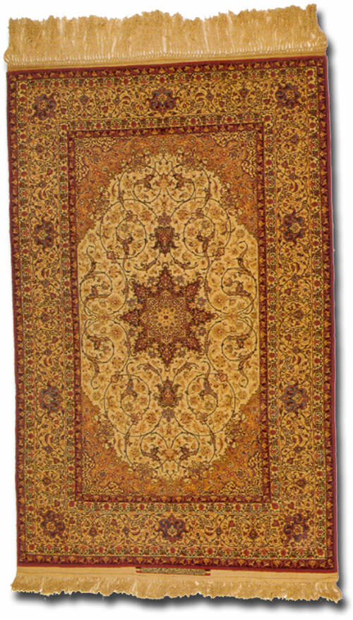 rug number tbc 31
