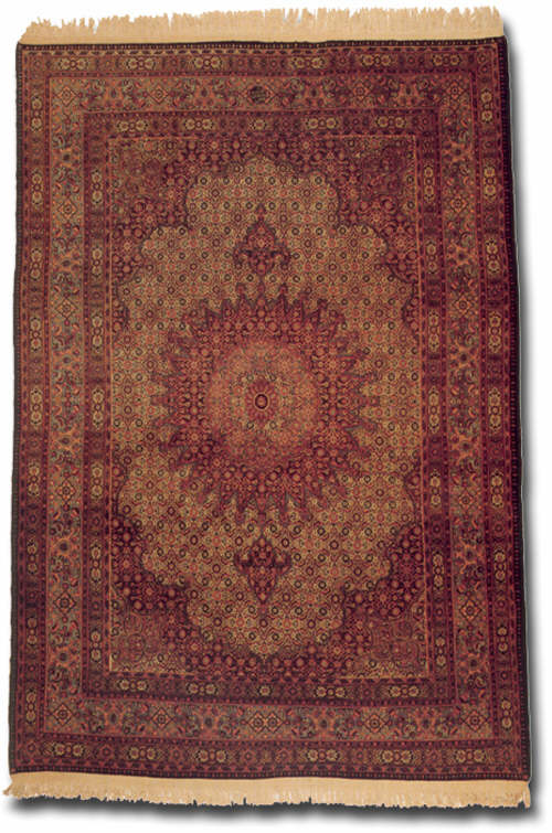 rug number tbc 33