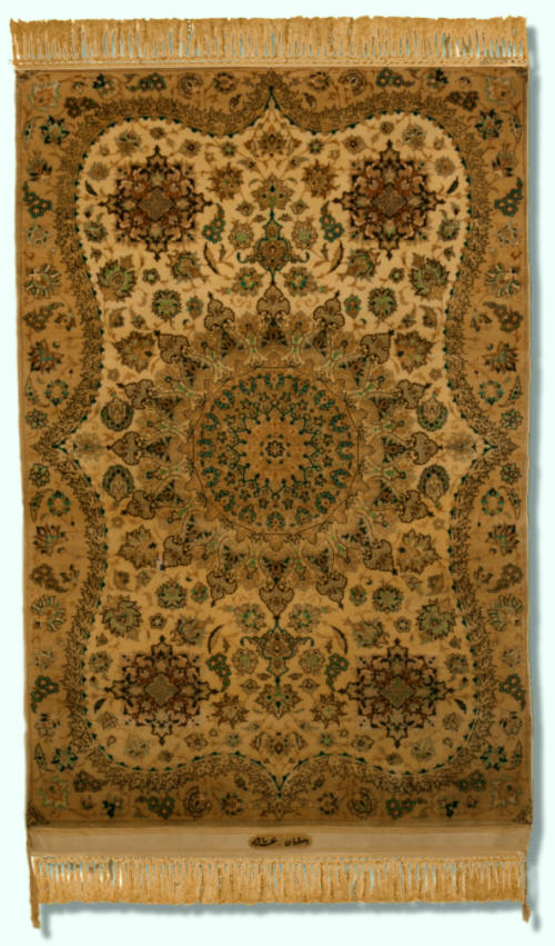 rug number24